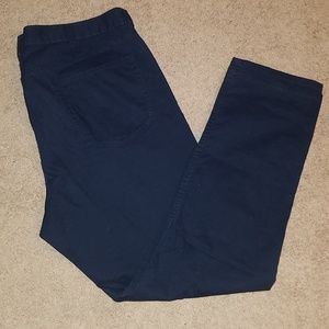 Banana Republic Skinny Fit Navy Pants